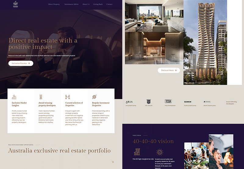 PAIDD Investment Website